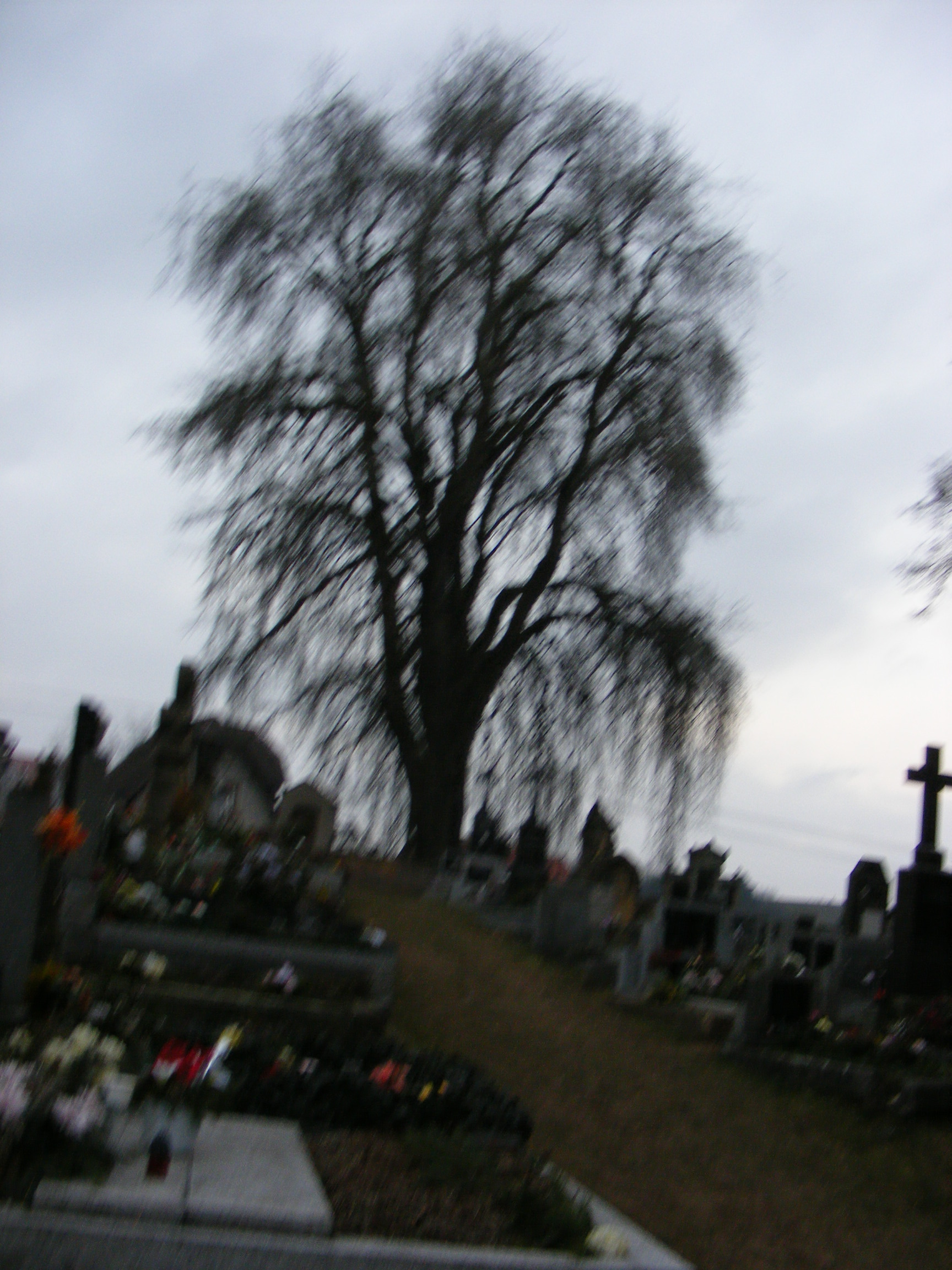 DSCF4001.jpg